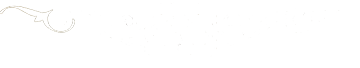 描述